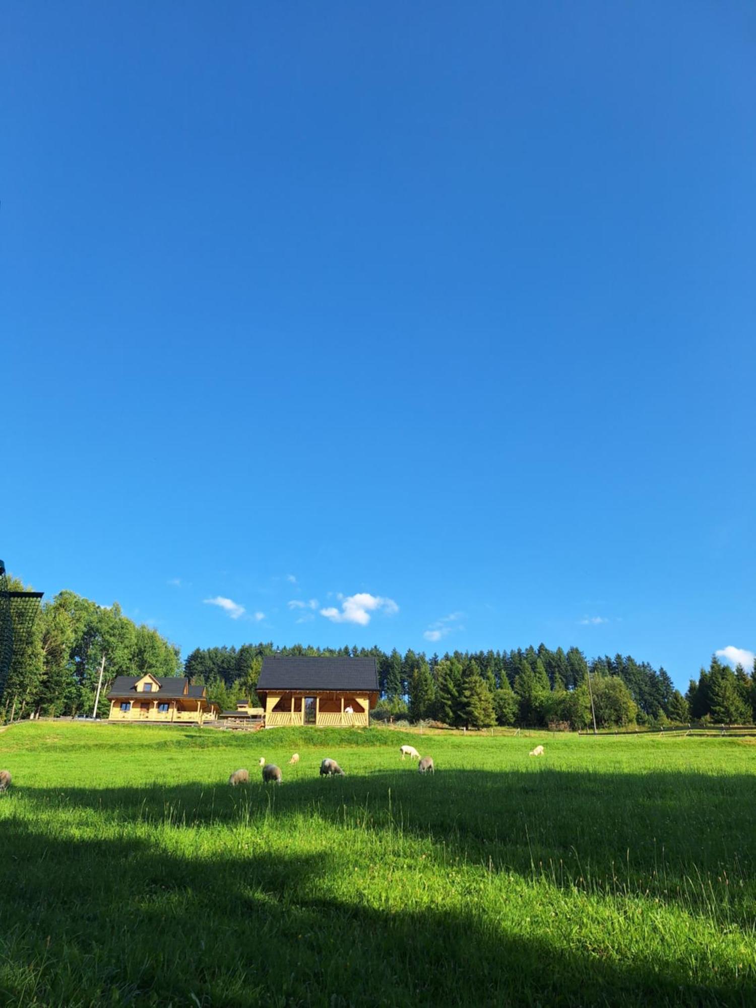 Domek W Klisiowkach Уйсолы Экстерьер фото
